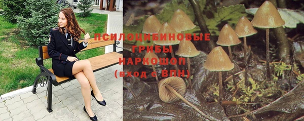 альфа пвп Армянск