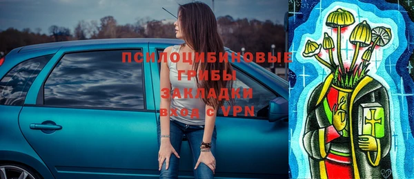 экстази Арсеньев